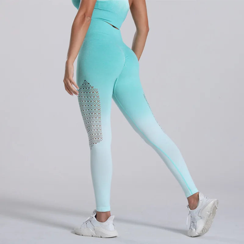 Seamless High-Waist Squat-Proof Fitness Leggings